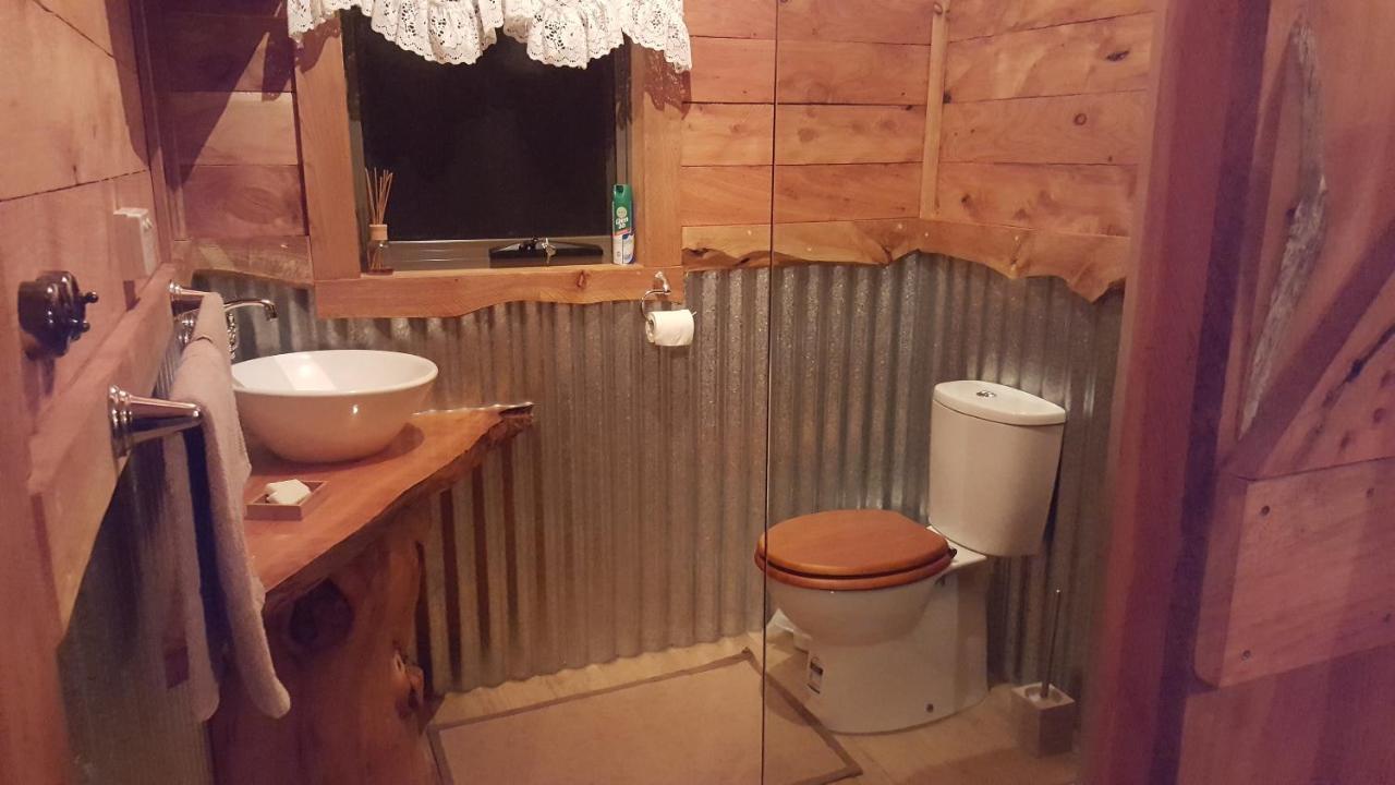 לינה וארוחת בוקר פנגווין Rustic Hut Bush Retreat מראה חיצוני תמונה