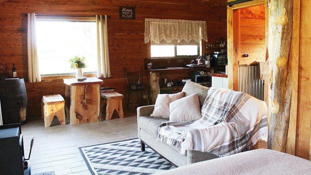 לינה וארוחת בוקר פנגווין Rustic Hut Bush Retreat מראה חיצוני תמונה